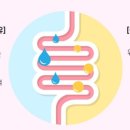 트윈스킨 이미지