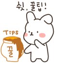 홀리아로마스튜디오 이미지