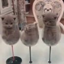 국토행정사사무소 이미지