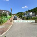 삼성골드공인중개사 옆 이미지