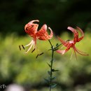신구대학교 이미지