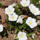 세화요양원 이미지