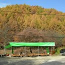 비룡민박 이미지