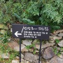 산당화가 피는집 이미지