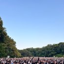 주식회사 샵911 이미지