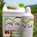 (주)그린로직스 이미지