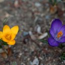 성남시립식물원 이미지