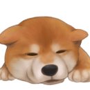 백두 동물병원 이미지