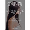 송정수석