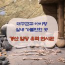 대구도시철도공사 영남대역 | 대구근교 아이랑 실내 가볼만한 곳 새로 개관한 경산 임당 유적 전시관