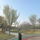 배곧다이어트 디에트한의원에서 한약다이어트 과정 기록