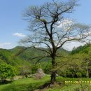 발교산산장 이미지