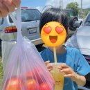 청기와세탁소 네이버블로그