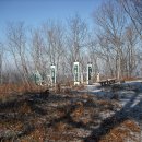 진남중학교 이미지