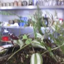 석남농장 이미지