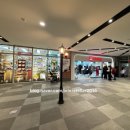 김정문알로에 대전용전점 | 800평 다이소 평택고덕브리티시점 방문 후기