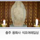 충주청과 이미지