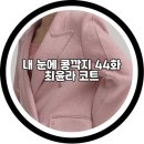 44콩깍지