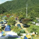 안성맞춤캠핑장매점 네이버블로그