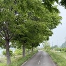 더 빌리지 펜션 | 장성 단체 숙소 추천 | 축령산 더빌리지 독채로 편하게 단체여행