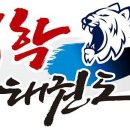 대학태권도체육관 이미지