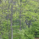 용복농장 이미지