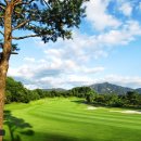 이섭대천로 8 이미지