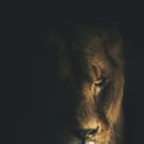 백록담한의원 이미지