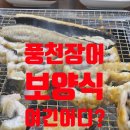 유명풍천장어 | 창원 상남동 풍천장어,1kg 몸보신의 정석! 남영미 굴국밥&amp;풍천장어 후기