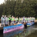 다슬기 반딧불이 이미지