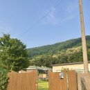 니은시옷 스테이 이미지