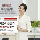 도 예 이미지