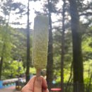 성지곡지 이미지