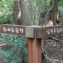 편백나무 쉼