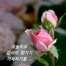 멋진하루 이미지