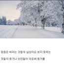새날목장 이미지