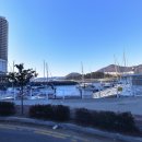 아그리나 B 이미지