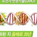 옥자푸드 이미지