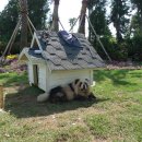 외돌개 나라 이미지