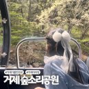 서정목장 | 거제 아이랑 가볼만한곳 숲소리공원 추천 모노레일 양떼목장