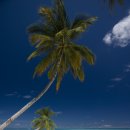 몰디브호텔 이미지