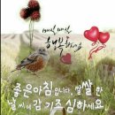 리제이 이미지