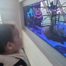 보나장신구박물관(휴관) | 돌 전 아이랑 함께 한 부산 국립해양박물관 솔직후기 (with 유아휴게실, 수유실 정보)