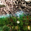 송원일식 이미지