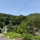 성림가든 | 240515/장태산 성림가든에서 닭도리탕 먹고왔어요 내돈내산 추천