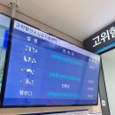 동산프라스틱 | 콩콩이 34주차 기록 #3 (계대 동산병원 드디어 퇴원)