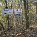 소리의섬 이미지