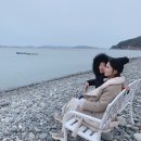 완도 가볼만한곳 정도리 초콜릿 촬영지