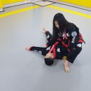 위너합기도 이미지