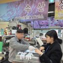 조끄뜨레마트 - 제주시 국기로 33 | 조끄뜨레마트